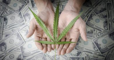 Colorado's Pot Sale