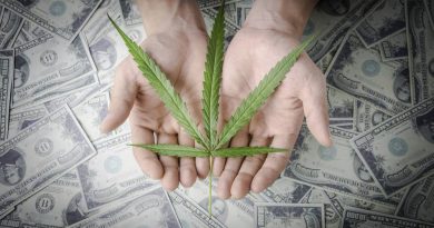 Hemp Products Marketing