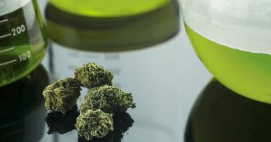 Michigan Marijuana Reform