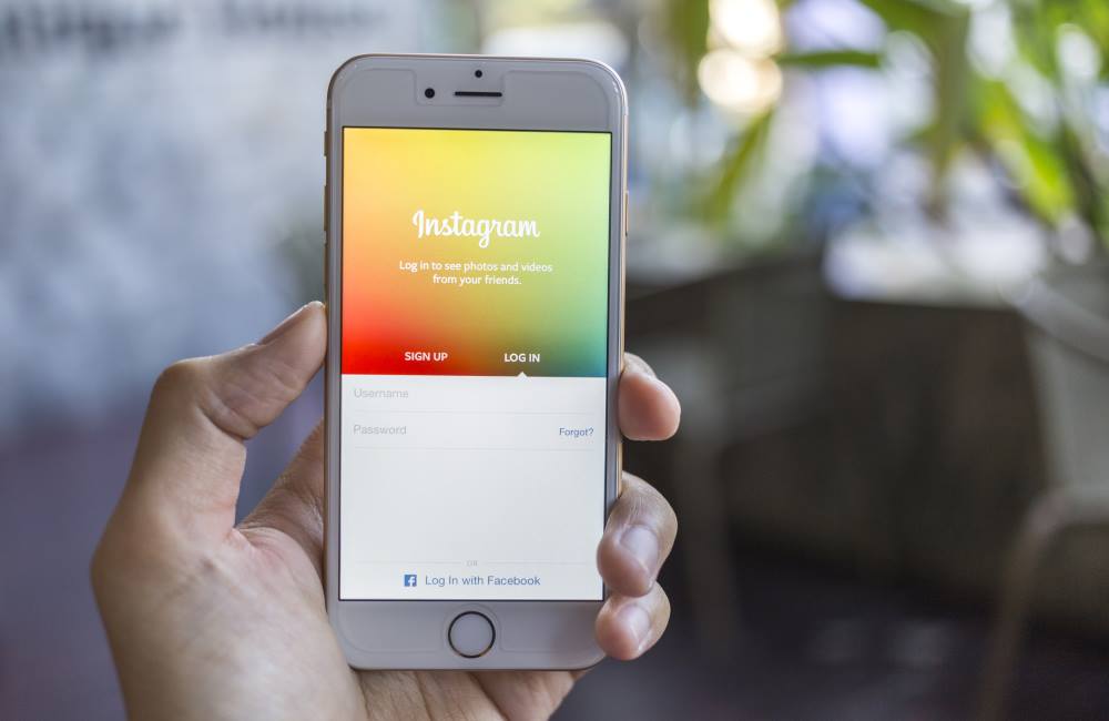 Is Instagram Perfect for Budding Cannabis Ventures