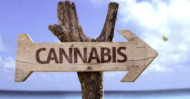 All Cannabis Names Are Not Created Equal
