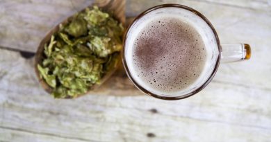 Are Beer and Marijuana Cousins?