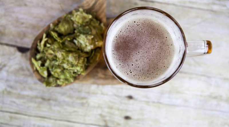Are Beer and Marijuana Cousins?