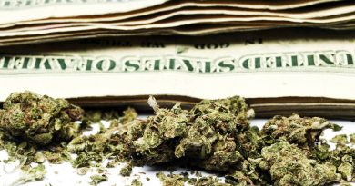 Banks Won't Touch Marijuana