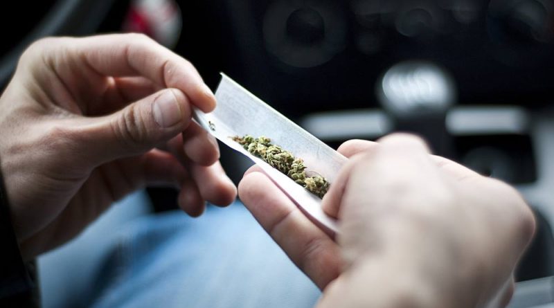 Marijuana Isn't Really a Gateway Drug
