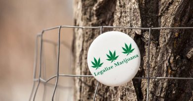 Support For Legal Marijuana