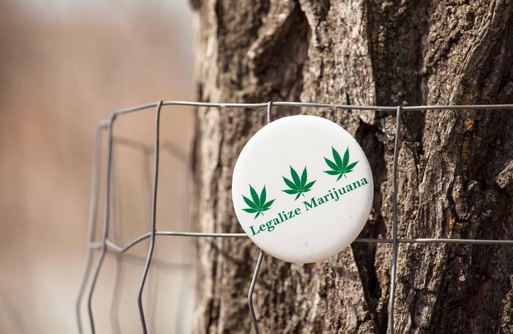 Support For Legal Marijuana