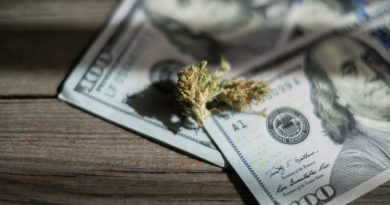 Marijuana Tax Money