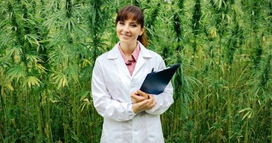 Volunteer for Marijuana Research Studies