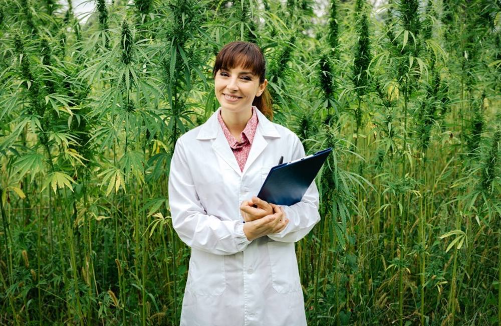 Volunteer for Marijuana Research Studies