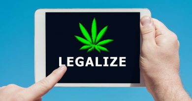 Where Will Recreational Marijuana Become Legal Next?