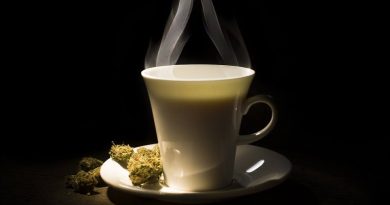 Denver Finally Grants First License For Cannabis Cafe