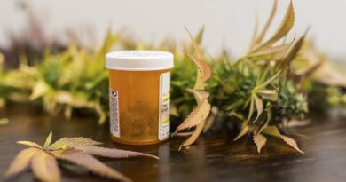 Opioid Use Drops In States With Legal Marijuana