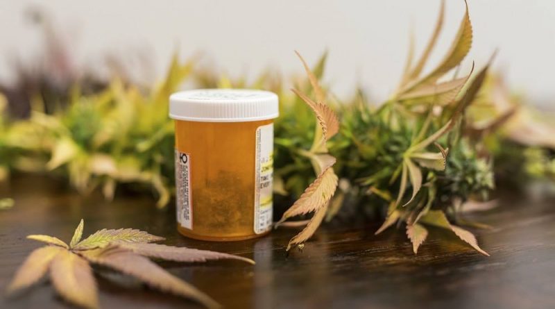 Opioid Use Drops In States With Legal Marijuana