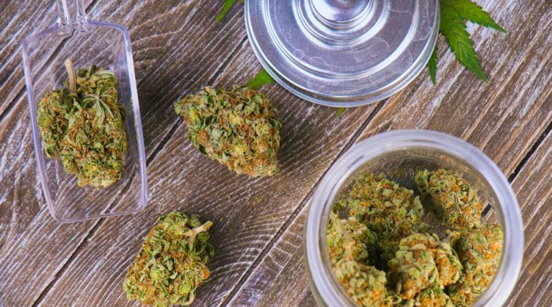 How To Choose The Cannabis Strain That’s Right For You