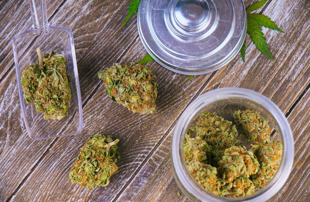 How To Choose The Cannabis Strain That’s Right For You