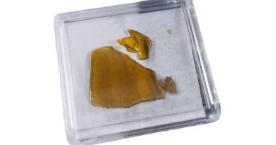 What Is Shatter and How Do You Use It