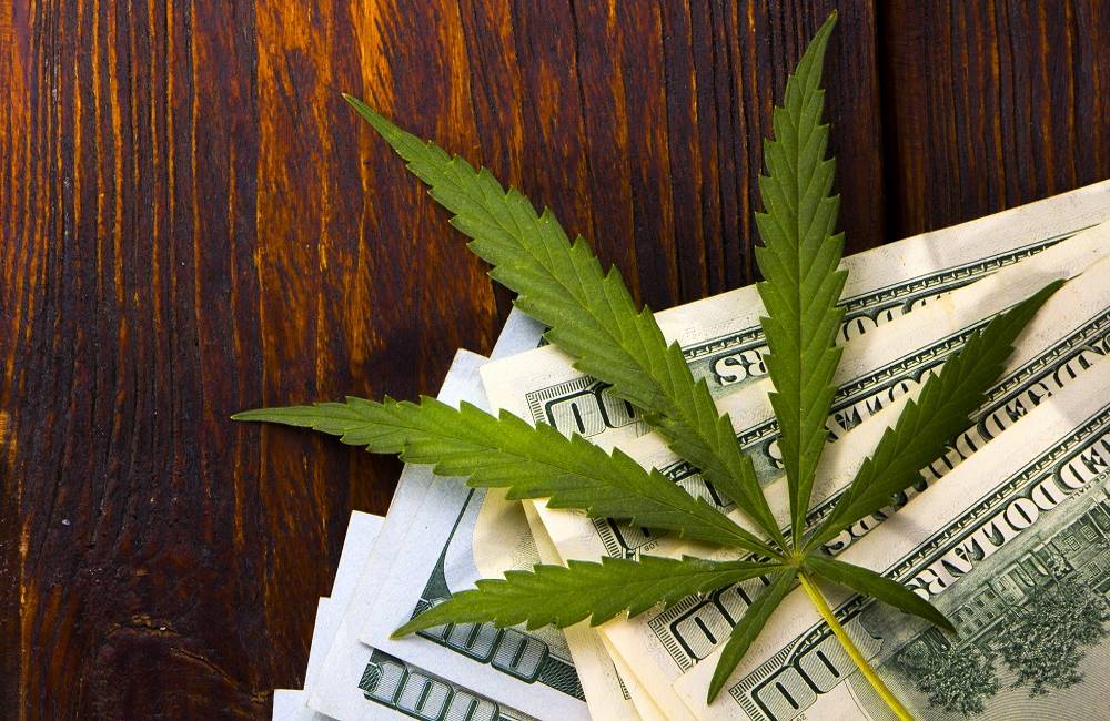 How to Start Your Marijuana Dispensary