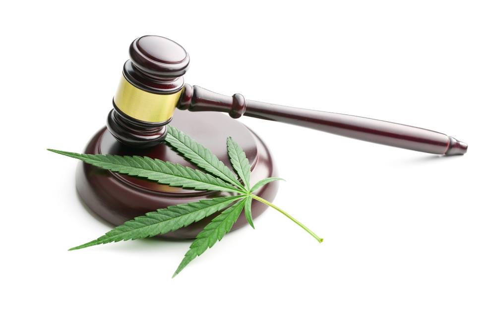 What’s the Difference Between Decriminalization and Legalization of Marijuana?