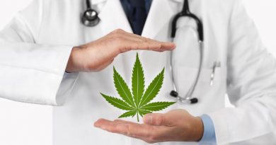 How Does Medical Cannabis Differ From Recreational Cannabis?