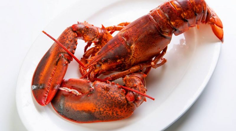 Is Getting Lobsters High Before Boiling Them More Humane?