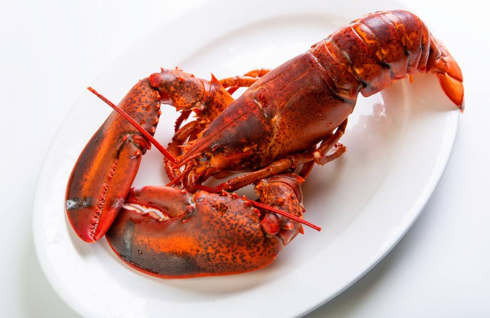 Is Getting Lobsters High Before Boiling Them More Humane?
