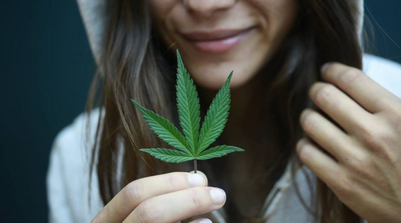 Marijuana Facts and Marijuana Myths