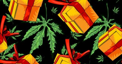 A Holiday Gift Guide For The Best Cannabis Products | Top Marijuana Gifts