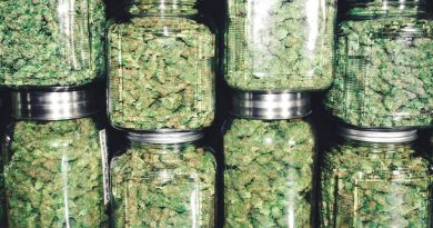 Legalized Recreational Marijuana Reaches the East Coast
