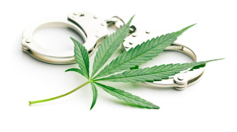 What Does Decriminalized Marijuana Mean? | Decriminalization Facts