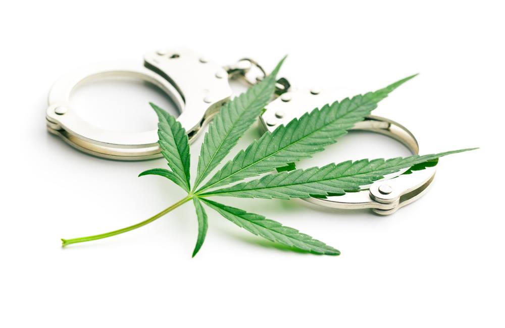 What Does Decriminalized Marijuana Mean? | Decriminalization Facts