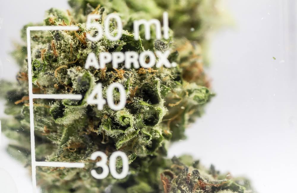 Marijuana for Pain Relief: New Study Finds It’s a Cost-Effective Option