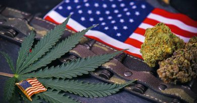 Military Veterans Overwhelmingly Support Medical Marijuana | Legalization