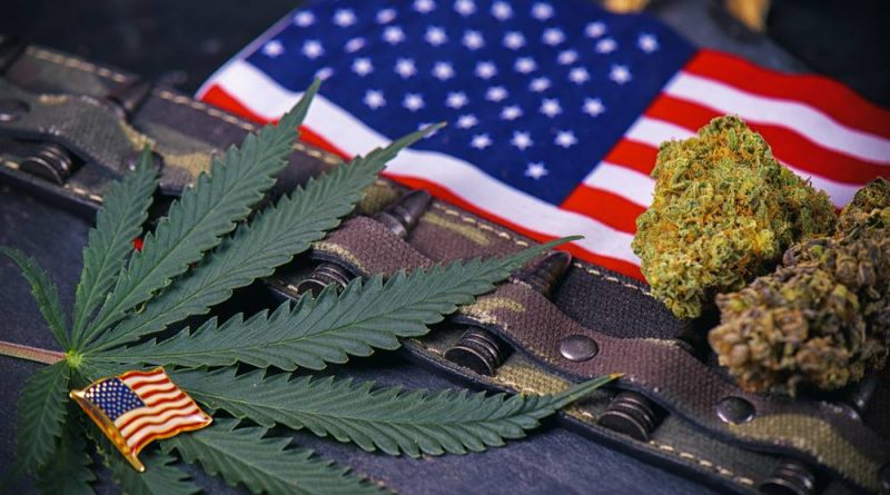 Military Veterans Overwhelmingly Support Medical Marijuana | Legalization