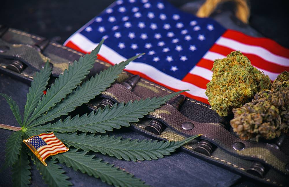 Military Veterans Overwhelmingly Support Medical Marijuana | Legalization