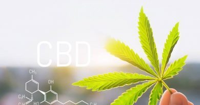The Cannabis Industry Is Becoming the CBD Wellness Industry | CBD