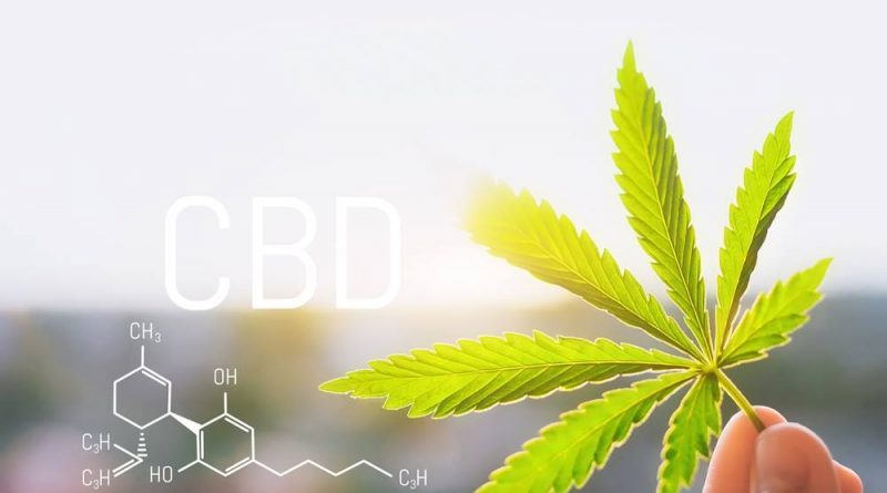The Cannabis Industry Is Becoming the CBD Wellness Industry | CBD