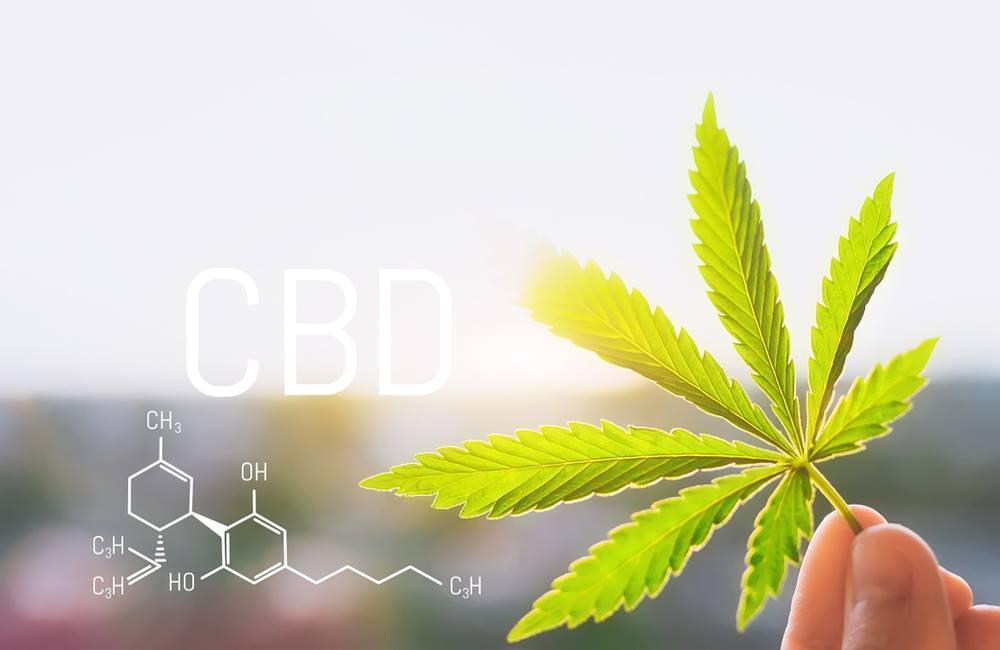 The Cannabis Industry Is Becoming the CBD Wellness Industry | CBD