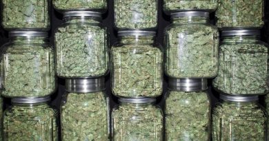 5 Tips to Improve Cannabis Storage | Weed Containers & Pot Storage Tips