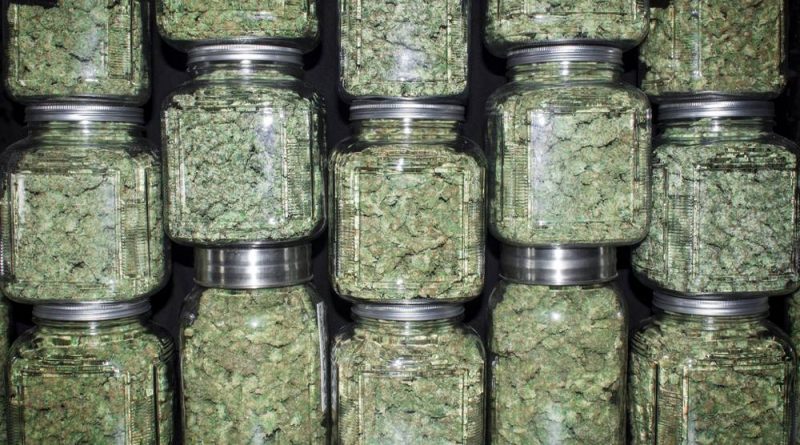 5 Tips to Improve Cannabis Storage | Weed Containers & Pot Storage Tips