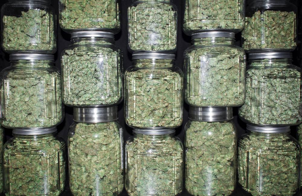 5 Tips to Improve Cannabis Storage | Weed Containers & Pot Storage Tips