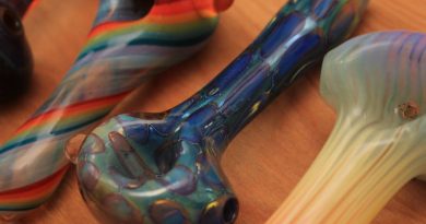 Glass Pipes vs Bongs: What’s The Best? | Compare Cannabis Accessories