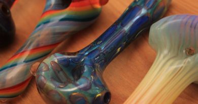 Glass Pipes vs Bongs: What’s The Best? | Compare Cannabis Accessories