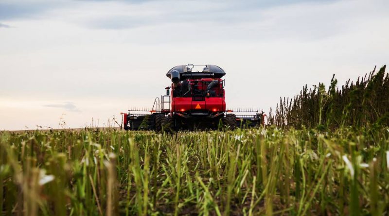 Hemp May Soon Become Legal To Grow in Florida | Commercial Hemp