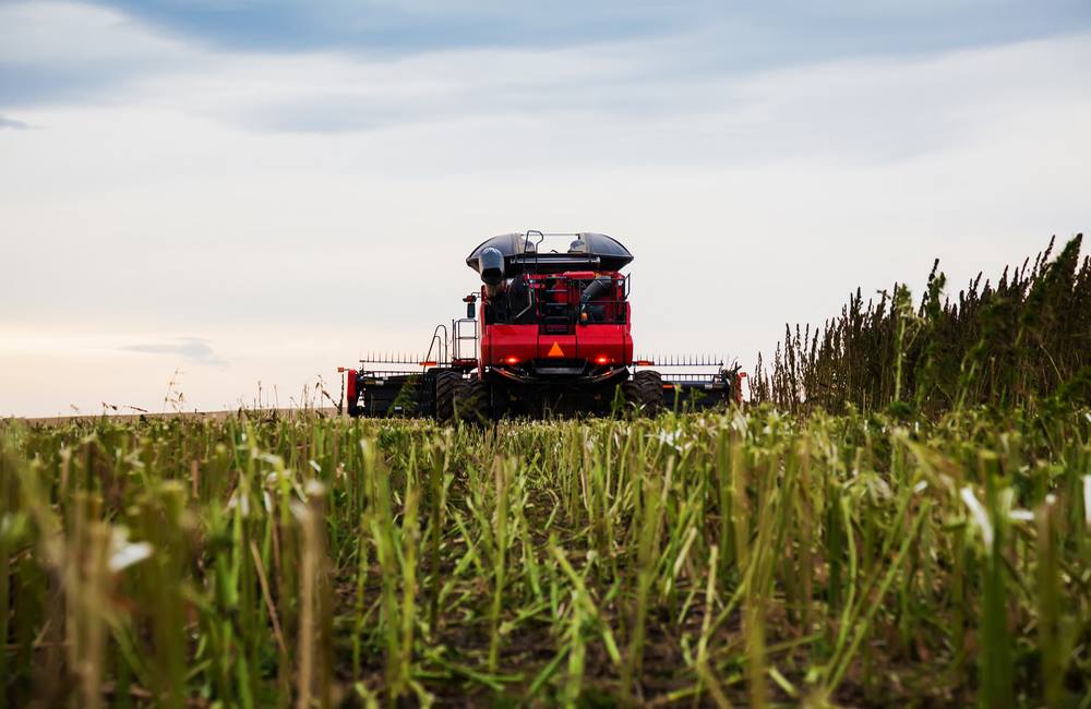 Hemp May Soon Become Legal To Grow in Florida | Commercial Hemp