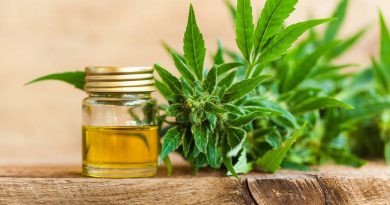 Trends in Cannabis: THC and CBD Products Expanding Rapidly in 2019