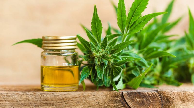 Trends in Cannabis: THC and CBD Products Expanding Rapidly in 2019