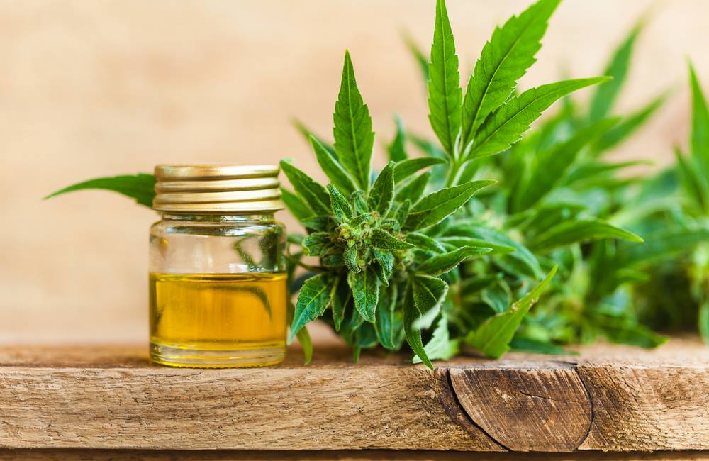 Trends in Cannabis: THC and CBD Products Expanding Rapidly in 2019