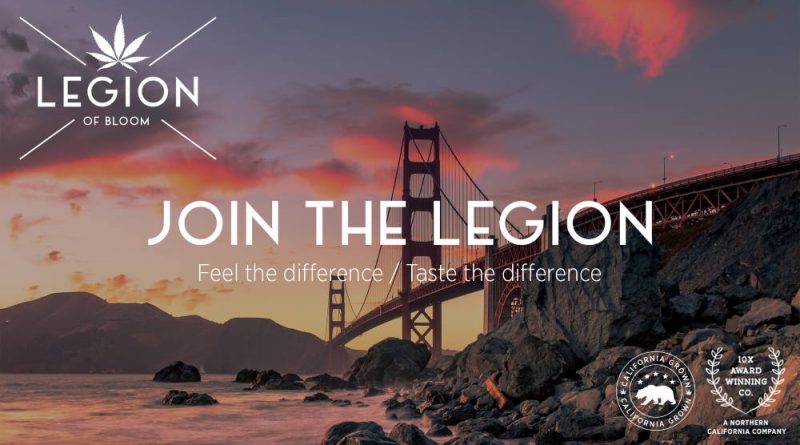 Cannabis Farmers Unite in Northern California to Form Legion of Bloom