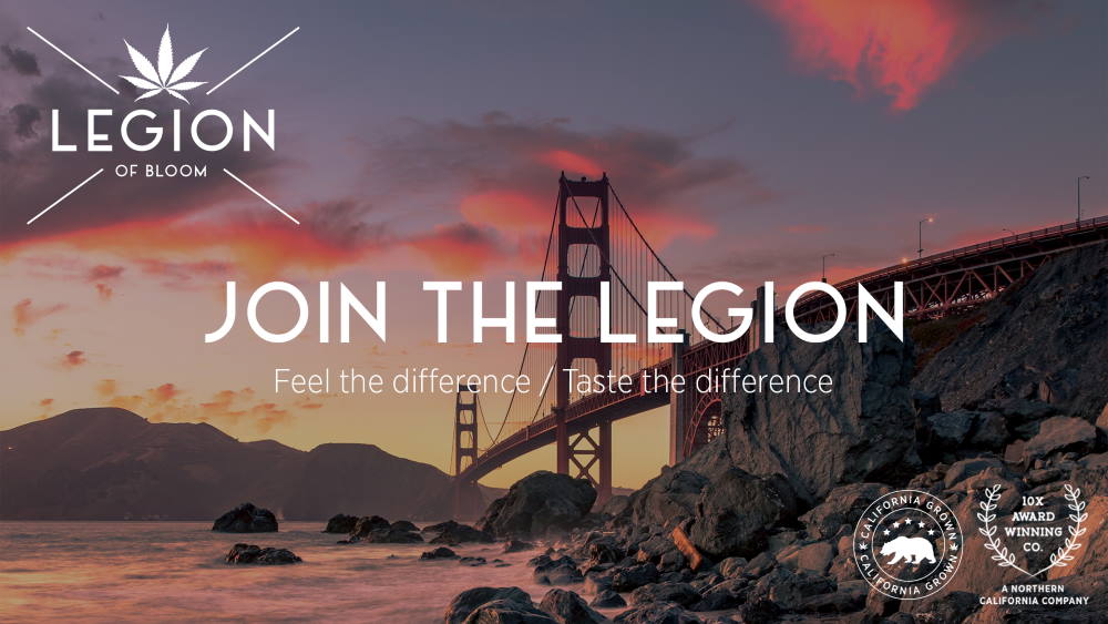 Cannabis Farmers Unite in Northern California to Form Legion of Bloom